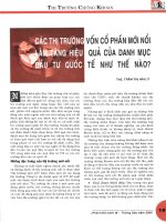 Các thị trường vốn cổ phần mới nổi làm tăng hiệu quả của danh mục đầu tư quốc tế như thế nào 