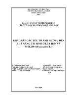 khảo sát các yếu tố ảnh hưởng đến khả năng tái sinh ở lúa ir64 và mtl250 (oryza sativa l.)
