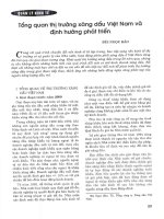 Tổng quan thị trường xăng dầu việt nam và định hướng phát triển 