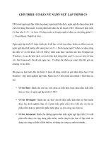 GIỚI THIỆU CƠ BẢN VỀ NGÔN NGỮ LẬP TRÌNH C#