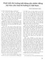 Phát triển thị trường bất động sản nhằm đồng bộ hóa các loại thị trường ở việt nam 