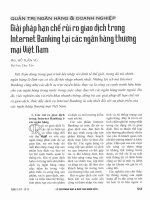 Giải pháp hạn chế rủi ro giao dịch trong internet banking tại các ngân hàng thương mại việt nam 