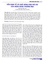 Vốn kinh tế và khả năng chịu rủi ro của ngân hàng thương mại 