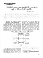 Phát triển cụm công nghiệp hỗ trợ chuyên ngành  lý thuyết và thục tiễn 