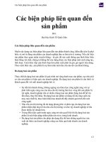 Các biện pháp liên quan đến sản phẩm 