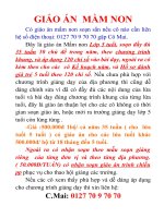 Giáo án tết và mùa xuân mầm non