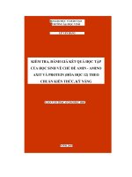 Kiểm tra, đánh giá kết quả học tập của học sinh về chủ đề amin   amino axit và protein ợlóa học 12) theo chuẩn kiến thức, kỹ năng 