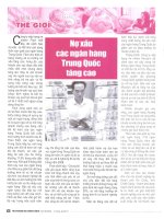 Nợ xấu các ngân hàng trung quốc tăng cao 