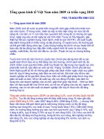 Tổng quan kinh tế việt nam năm 2009 và triển vọng