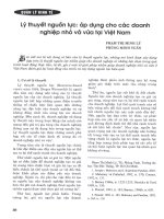 Lý thuyết nguồn lực áp dụng cho các doanh nghiệp nhỏ và vừa tại việt nam 