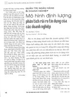 Mô hình định lượng phân tích rủi ro tín dụng của các doanh nghiệp 