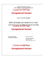 phân tích hiệu quả kinh tế của việc sản xuất lúa vụ đông xuân ở cần thơ