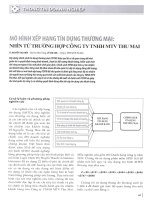 Mô hình xếp hạng tín dụng thương mại  nhìn từ trường hợp công ty TNHH MTV thu mai 