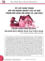 Áp lực cạnh tranh đối với doanh nghiệp vừa và nhỏ trong bối cảnh hội nhập và lạm phát   phân tích tình huống ngành bất động sản tại việt nam 