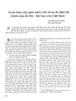 Tự do hóa các giao dịch vốn và sự ổn định tài chính của ấn độ   bài học cho việt nam 