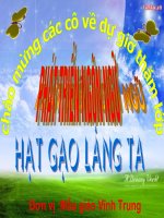 Giáo án hát bài hạt gạo làng ta