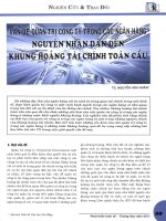 Vấn đề quản trị công ty trong các ngân hàng nguyên nhân dẫn đến khủng hoảng tài chính toàn cầu 