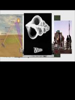 Tesla và từ trường của trái đất