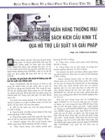 Rủi ro tại các ngân hàng thương mại khi thực hiện chính sách kích cầu kinh tế qua hỗ trợ lãi suất và giải pháp 