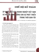 Chế độ kế toán áp dụng cho các doanh nghiệp việt nam và những định hướng cho sự phát triển trong thời gian tới 