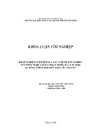 KHẢO NGHIỆM 12 tổ hợp lúa LAI và bước đàu NGHIÊN cứu CÔNG NGHỆ sản XUẤT hạt GIỐNG lúa LAI f1 hệ BA DÒNG THÍCH hợp điều KIỆN tây NGUYÊN 