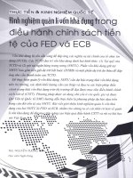 Kinh nghiệm quản lý vốn khả dụng trong điều hành chính sách tiền tệ của FED và ECB 