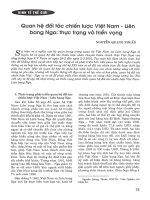 Quan hệ đối tác chiến lược việt nam   liên bang nga thực trạng và triển vọng 