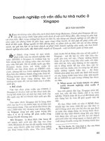 Doanh nghiệp có vốn đầu tư nhà nước ở singapo 