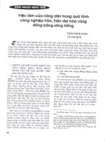 Việc làm của nông dân trong quá trình công nghiệp hóa, hiện đại hóa vùng đồng bằng sông hồng 