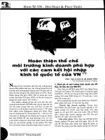 Hoàn thiện thể chế môi trường kinh doanh phù hợp với các cam kết hội nhập kinh tế quốc tế của việt nam 