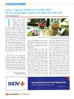 Quản lý rủi ro trong kinh doanh vàng tại các ngân hàng thương mại bằng mô hình var 