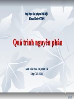 quá trình nguyên phân