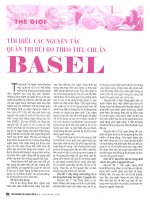 Tìm hiểu các nguyên tắc quản trị rủi ro theo tiêu chuẩn basel 