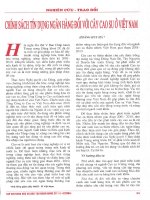 Chính sách tín dụng ngân hàng đối với cây cao su ở việt nam 