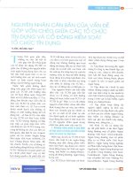 Nguyên nhân căn bản của vấn đề góp vốn chéo giữa các tổ chức tín dụng và cổ đông kiểm soát tổ chức tín dụng 