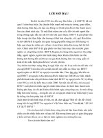 Một số vấn đề về tình trạng bội chi quỹ BHYT tự nguyện ở việt nam hiện nay 