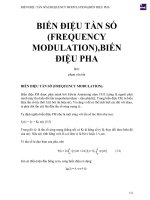 BIẾN điệu tần số (FREQUENCY MODULATION),BIẾN điệu PHA 
