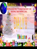 Bài giảng địa lý 9 phân bố dân cư và các loại hình quần cư (9) 