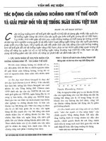 Tác động của khủng hoảng kinh tế thế giới và giải pháp đối với hệ thống ngân hàng việt nam 
