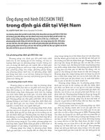 Ứng dụng mô hình DECISION TREE trong định giá đất tại việt nam 