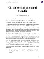 Chi phí cố định và chi phí biến đổi 