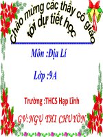 Bài giảng địa lý 9 thực hành phân tích so sánh tháp dân số năm 1989 và năm 1999 (2) 
