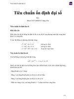 Tiêu chuẩn ổn định đại số 