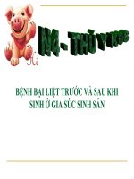 Tiểu luận bệnh bại liệt trước và sau khi sinh