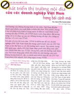 Phát triển thị trường nội địa của các doanh nghiệp việt nam trong bối cảnh mới 