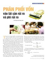 Phân phối vốn vào tài sản rủi ro và phi rủi ro 