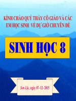 Bài giảng sinh học 9 thao giảng bài trao đổi chất (3) 