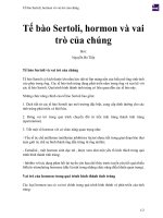 Tế bào sertoli, hormon và vai trò của chúng 