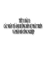 Bài giảng địa lý lớp 9 các nhân tố ảnh hưởng đến sự phát triển và phân bố nông nghiệp (7) 