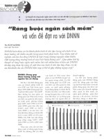 Ràng buộc ngân sách mềm và vấn đề đặt ra với DNNN 